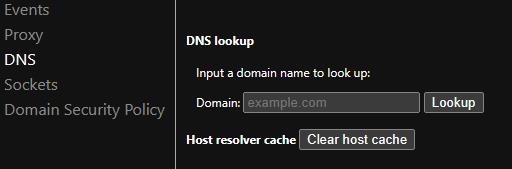 DNS 플러시 DNS 구글 크롬